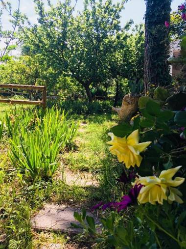 Casa Vacanze Fattoria Pozzitello