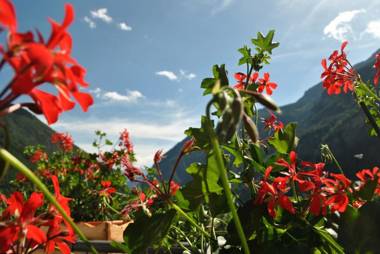 Hotell Millefiori- Alpine Event Lodge