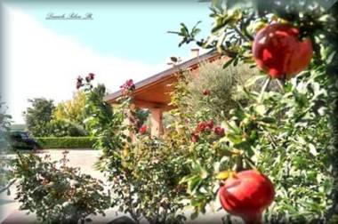 Agriturismo Ca' Del Gal