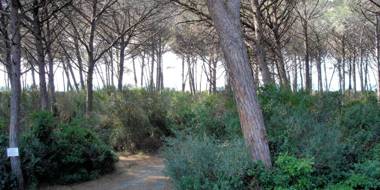 Oleandri Suite Hotel