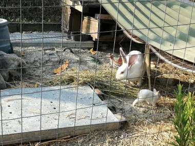 La Valle Dimenticata Agriturismo Wellness