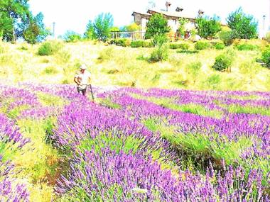 La Valle Dimenticata Agriturismo Wellness