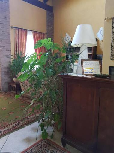 Hotel Damian Park Hotel Delle Magnolie