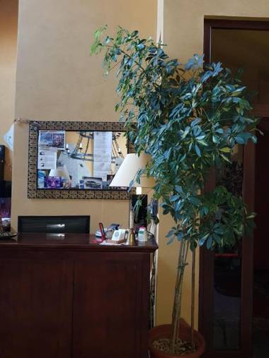 Hotel Damian Park Hotel Delle Magnolie