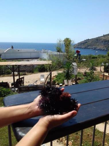 Agriturismo Salento D'Arare