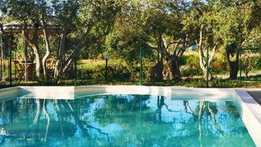 Albergo rurale La corte degli ulivi