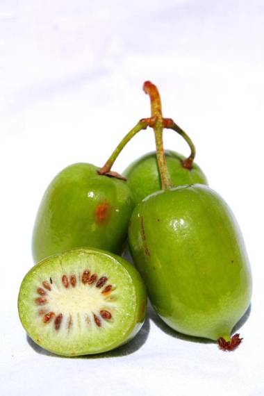 Agriturismo Locanda de l'Arguta