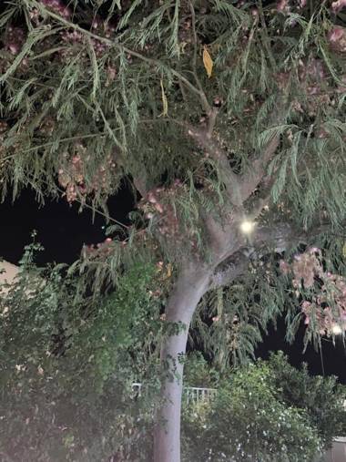 Valentina Lovely Rooms