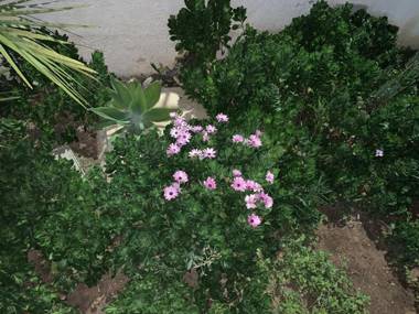 Valentina Lovely Rooms