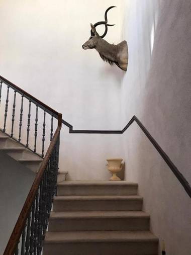 Palazzo Romanelli B&B