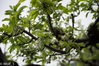 Agriturismo Il Tintore
