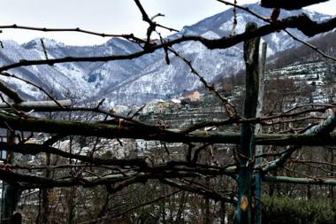 Agriturismo Il Tintore