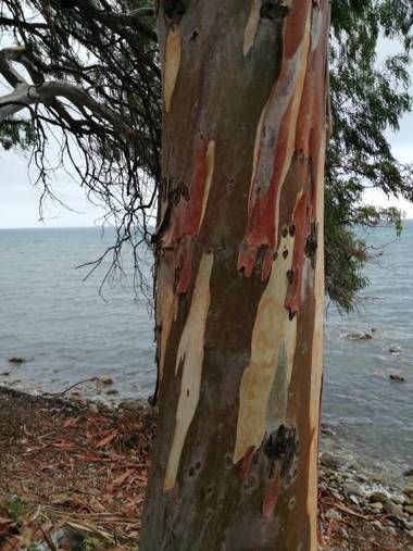 VillaPietramaccarruna