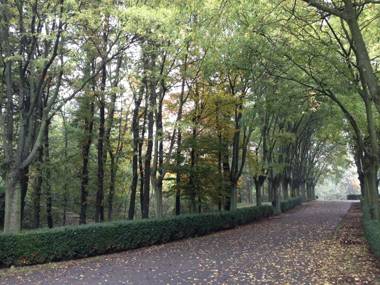 Casa Cuniolo Guest House