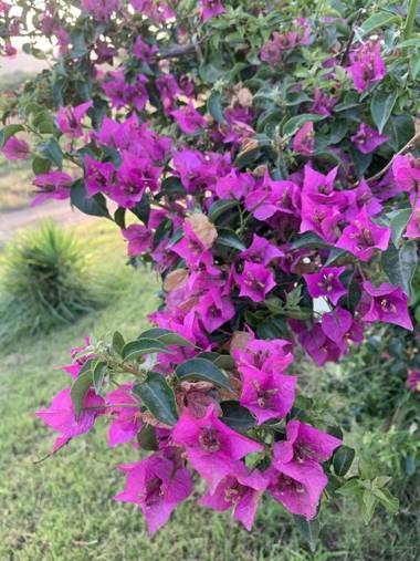 Agriturismo Turudhis