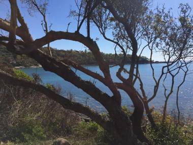 Affittacamere In Centro