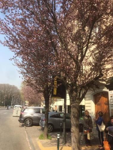 B&B la casa di Arturo