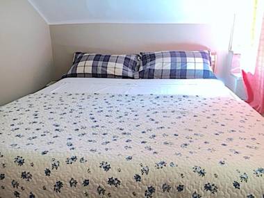 Apartment Carlo Alberto