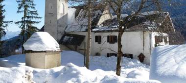 Baumannhof Ferienwohnung Mooskofel