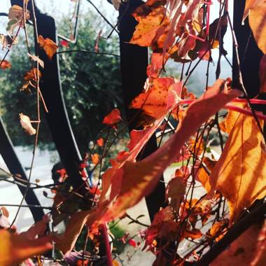 Il Pozzo Country House