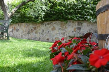 Colle Del Barbarossa