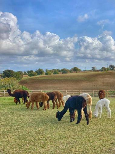 Agriturismo Piani Della Marina