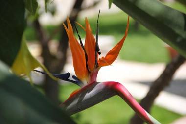 Taormina Garden Hotel
