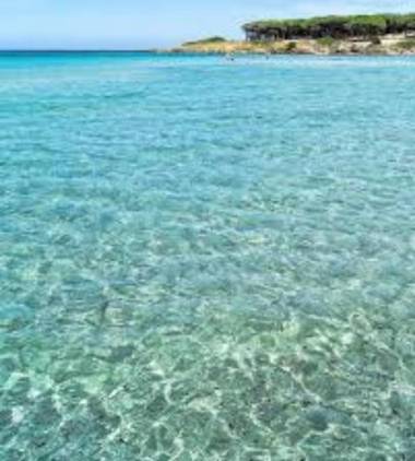 sweet thought cottage