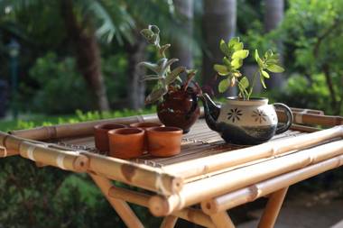 Il Giardino delle Jacaranda