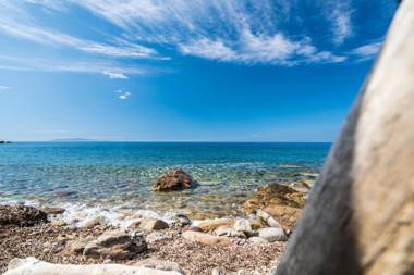 Azienda Agricola Club Le Cannelle