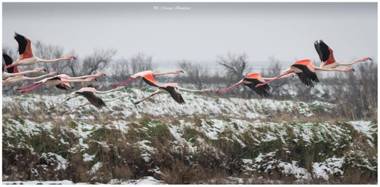 Agriturismo Ca' Pisani