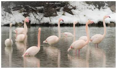 Agriturismo Ca' Pisani