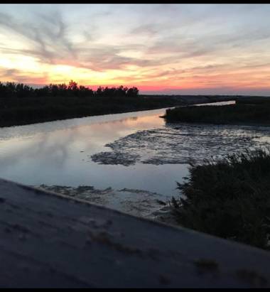 Agriturismo Ca' Pisani