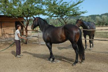 Agriturismo Le Piane Del Milia