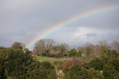 A Sutri Bed & Dinner