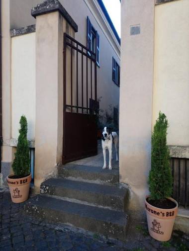 A Sutri Bed & Dinner