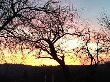 Azienda Agrituristica Calronche