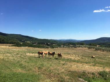 Villa Poggio dei Cipressi