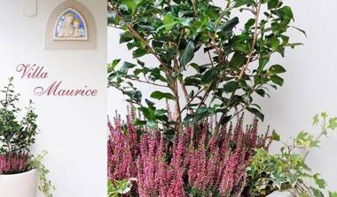 Residence Villa Maurice