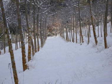 Agriturismo Istrice Innamorato