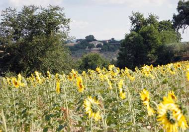 Agriturismo Il Poggiolo