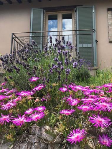 Agriturismo Collerisana