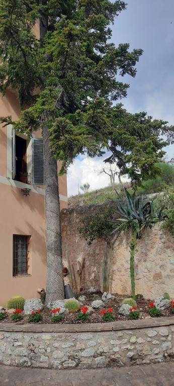 AGRITURISMO Villino Bellavista