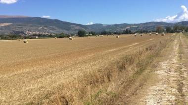 Podere Le Volte degli Angeli