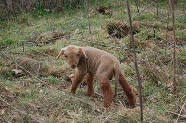 Bio Agriturismo Aia del Tufo