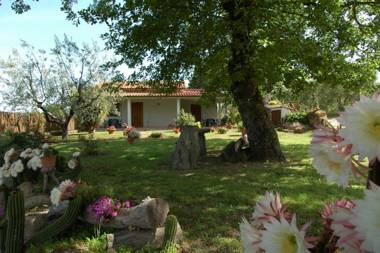 Agriturismo San Vincenzo