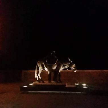 Apartment in an organic agriturismo with sheep pool quiet location