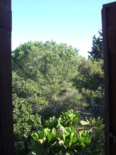 Eurialo Green Suites