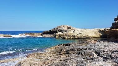 CORALLI DEL PLEMMIRIO