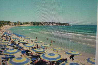 The Little Muse In Via Delle Muse 4